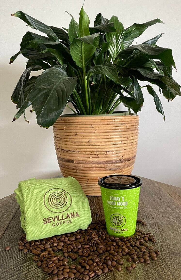 sevillana shirt cup plant